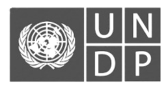 UNDP