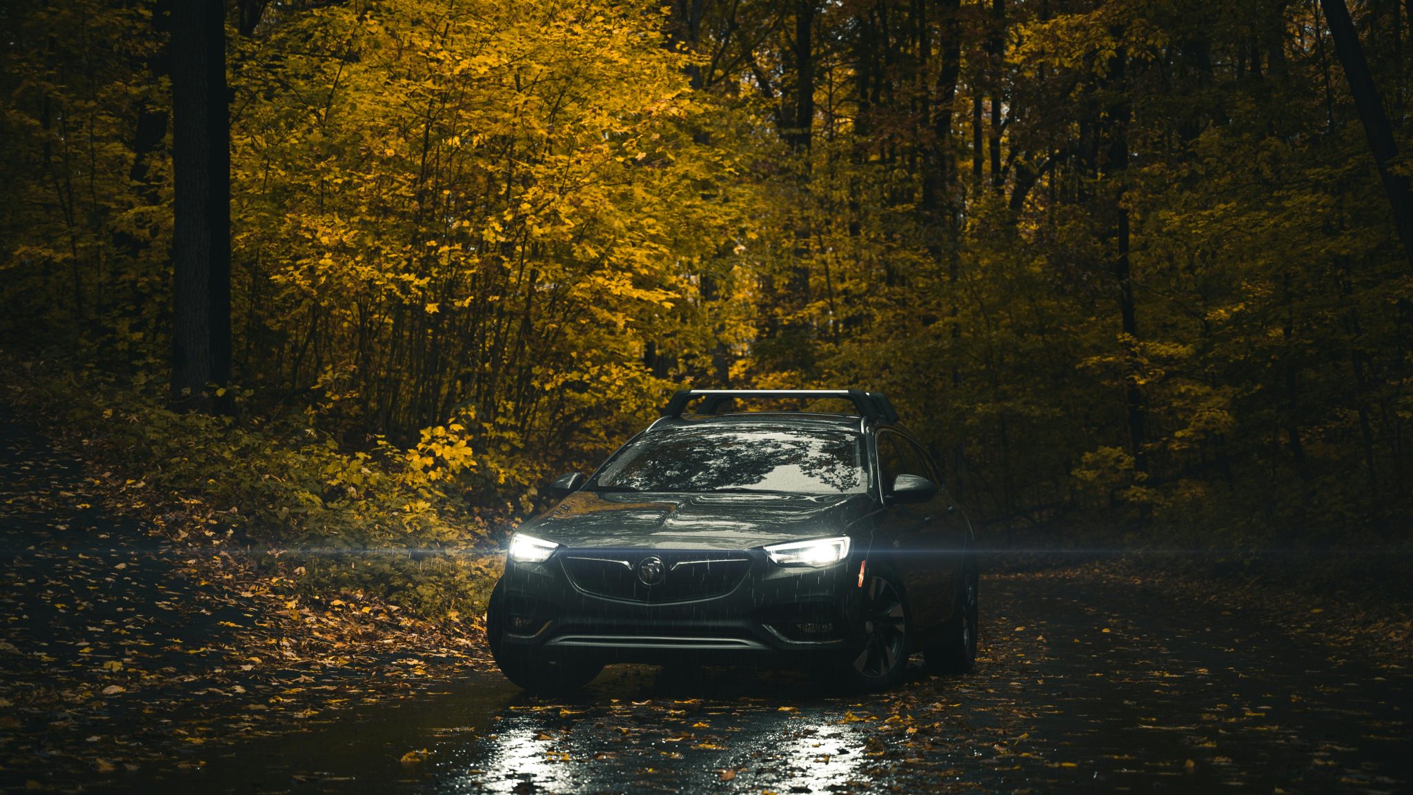 carbon emission